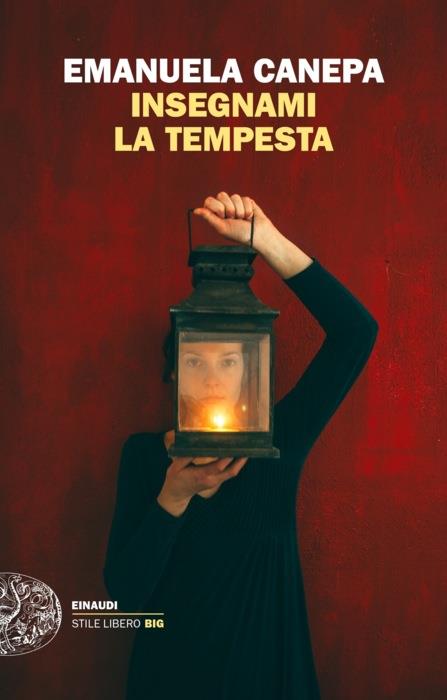 Copertina del libro Insegnami la tempesta di Emanuela Canepa