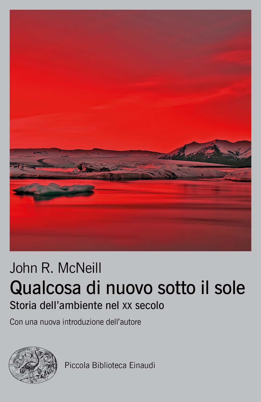 Qualcosa di nuovo sotto il sole, John R. McNeill. Giulio Einaudi editore -  Piccola Biblioteca Einaudi Ns