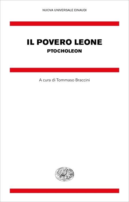 Copertina del libro Il povero Leone di VV.