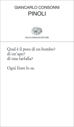 Copertina del libro Pinoli di Giancarlo Consonni