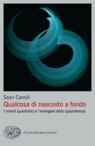 Copertina del libro Qualcosa di nascosto a fondo di Sean Carroll