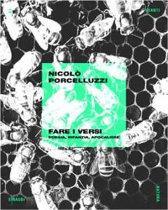 Copertina del libro Fare i versi di Nicolò Porcelluzzi