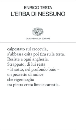 Copertina del libro L’erba di nessuno di Enrico Testa