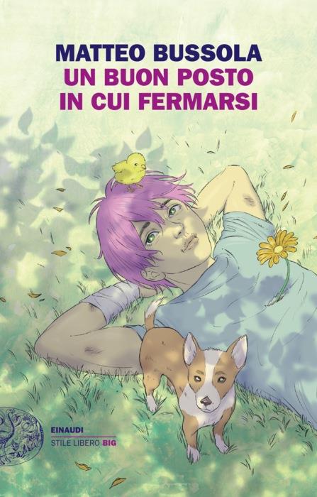 Copertina del libro Un buon posto in cui fermarsi di Matteo Bussola