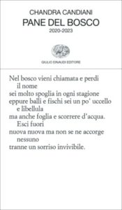 Questo immenso non sapere, Chandra Candiani. Giulio Einaudi editore - Vele