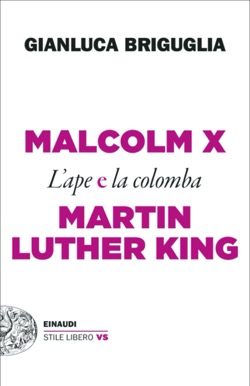 Copertina del libro Malcom X e Martin Luther King di Gianluca Briguglia