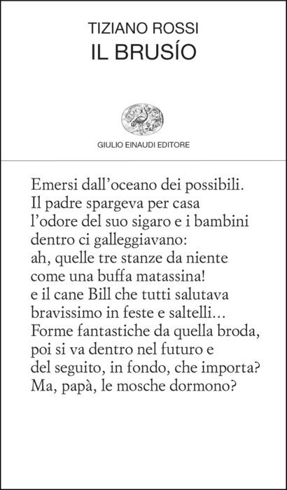 Copertina del libro Il brusío di Tiziano Rossi