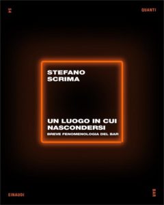 Copertina del libro Un luogo in cui nascondersi di Stefano Scrima